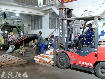 宜施壯 以創(chuàng)新為支點(diǎn)，實(shí)現(xiàn)復(fù)合肥產(chǎn)業(yè)的“撐桿跳”